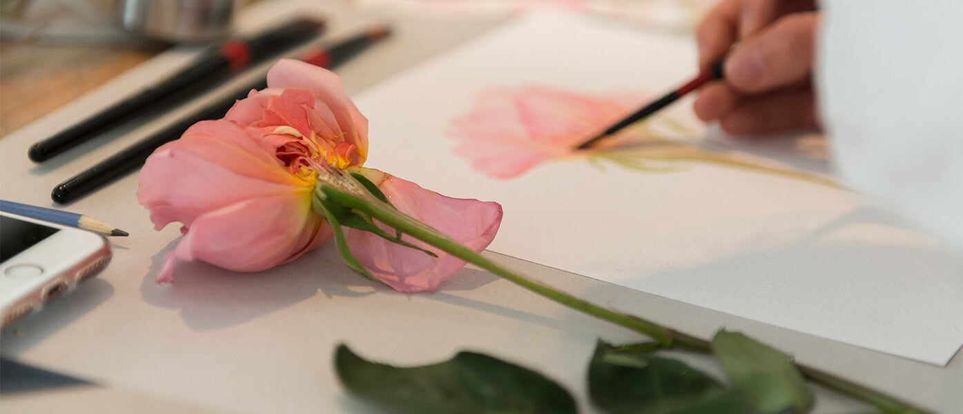 Anatomia Rosa ANATOMÍA DE LA ROSA – Rosas Don Eloy
