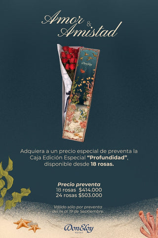 Caja Profundidad