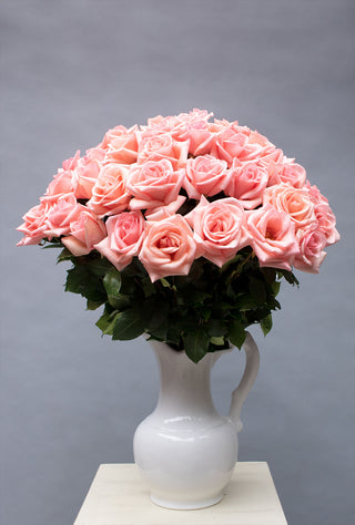 Colonia Ceramic Pitcher