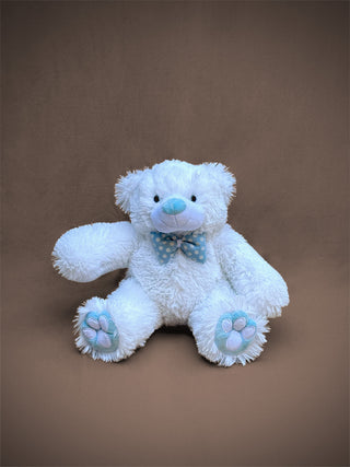 Small Blue Teddy Bear