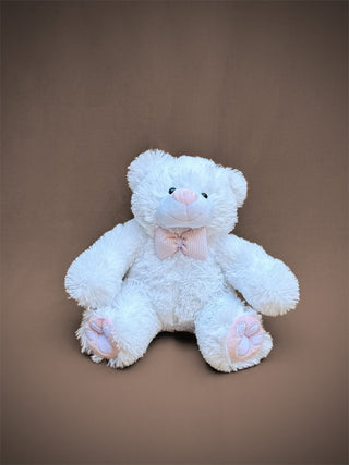 Small Pink Teddy Bear