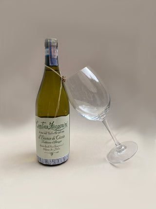 Cantina Zaccagnini White Wine