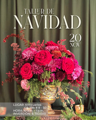 Taller Navidad