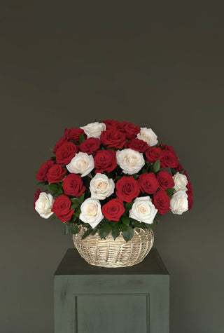 Canasto Canto de Ave